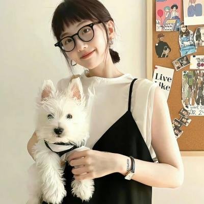 美妙旋律第九季